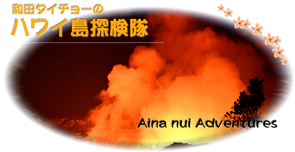 キラウエア火山はじめ より深くハワイ島の自然に触れたい方におすすめディープなハワイ島観光ツアー 和田タイチョーのハワイ島探検隊 Aina Nui Adventures