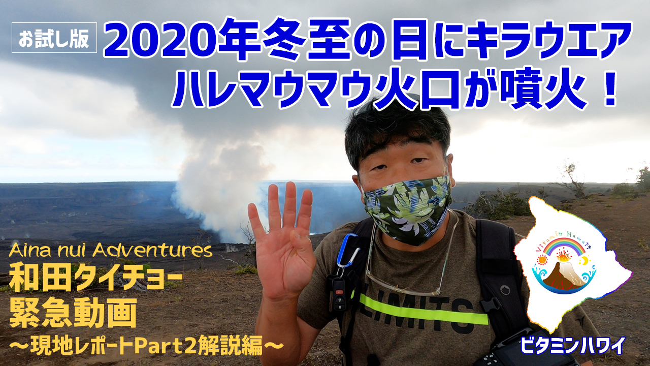 ビタミンハワイプロジェクト